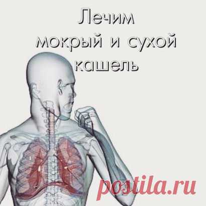 Кашель – рефлекс, направленный на устранение из дыхательных путей пыли, инородных тел и слизи. Это особая защитная реакция организма на раздражение слизистой бронхов. Причиной кашля может быть острая респираторная инфекция, вызывающая, например, ларингит, трахеит, бронхит.
Кашель разделяют на два типа:
* Влажный кашель с отходящей мокротой.
* сухой кашель или непродуктивный.
Влажный кашель, сопровождается отделением мокроты. Его полезная функция состоит в том, что содержащиеся в выделениях