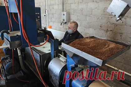 Россия ввела пошлины на экспорт некоторых культур