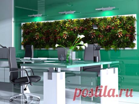 Фитокартина в офисе
