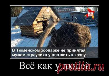 Ну вот и с Первомаем нас!