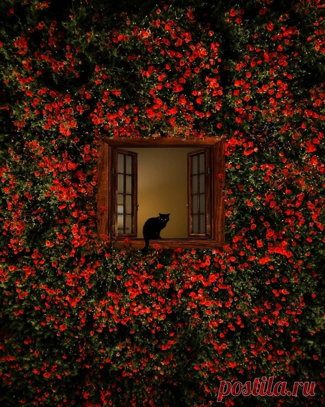 ,