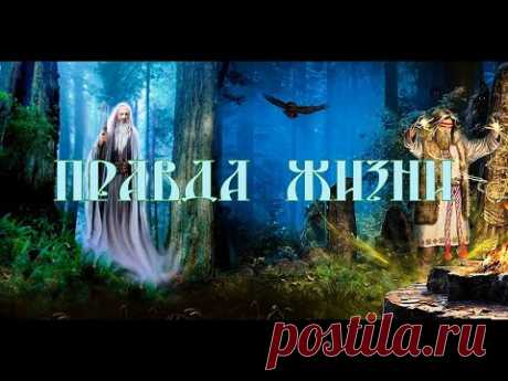 ПРАВДА ЖИЗНИ новый фильм 2019 Мудрость и истинные знания от Волхвов древней Руси  Иван Царевич