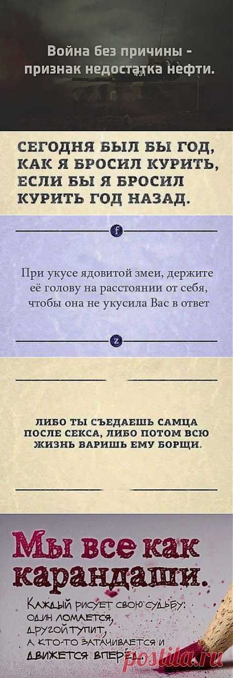 Лучшие цитаты интернета / Писец - приколы интернета