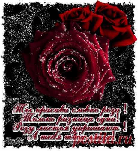 Плейкаст «РОЗОВЫЕ РОЗЫ!!!»