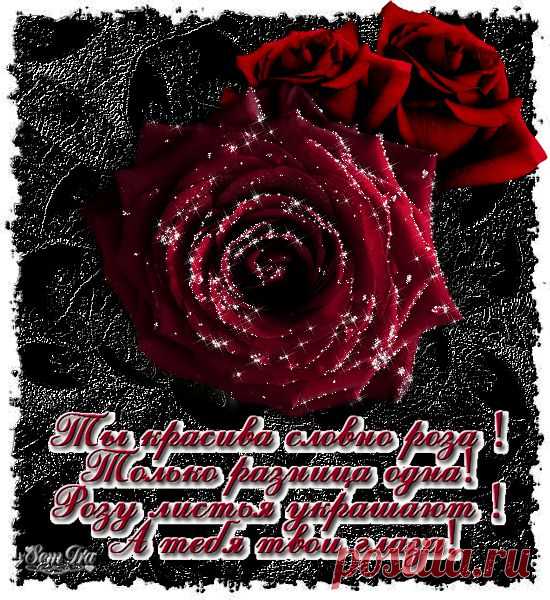 Плейкаст «РОЗОВЫЕ РОЗЫ!!!»