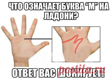 Трдат Доникян - Фотографии Хроники