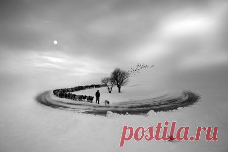 Безумные фото, которые всколыхнут ваше воображение | PhotoWebExpo | Яндекс Дзен