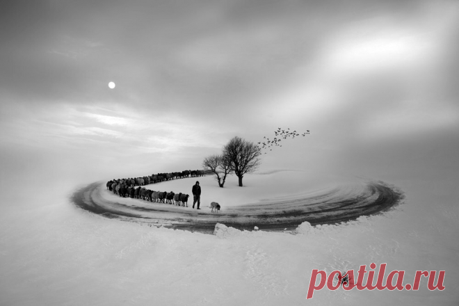 Безумные фото, которые всколыхнут ваше воображение | PhotoWebExpo | Яндекс Дзен