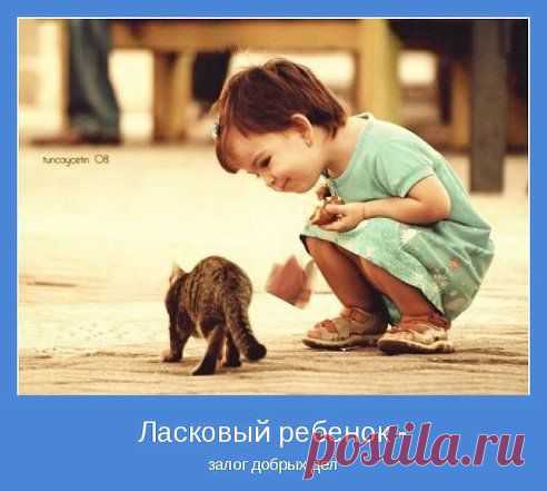 Красивые стихи...... – ЛАНА ШИМЧУК добавила фотографию в альбом МОТИВАТОРЫ