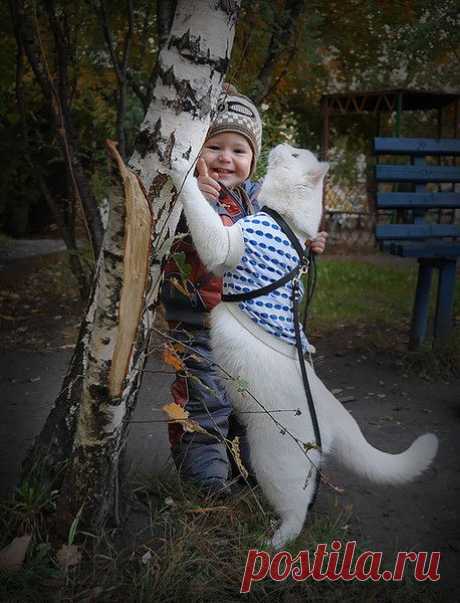 Детки