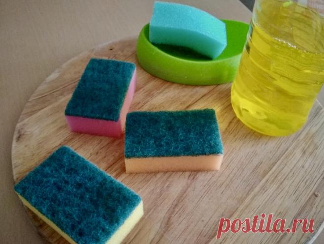 Выкинула все губки из поролона за ненадобностью и больше не покупаю. Есть более бюджетный и удобный вариант. Хитрая идея для кухни | Готовлю Дома Готовлю Вкусно | Дзен