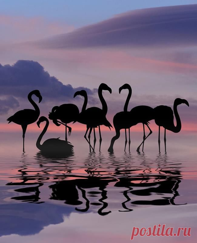Фотохудожник Dominic Liam и его «Силуэты»
