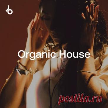 Download Festival Essentials 2026 Organic House August FLAC