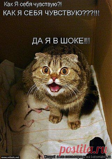 ЕЩЕ И СПРАШИВАЕШЬ