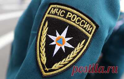 В Марий Эл число погибших из-за падения деревьев выросло до семи. Спасатели МЧС расчищают завалы на месте палаточного лагеря на озере Яльчик