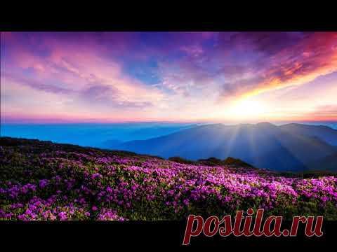 Живая и разумная энергия. "Приглашение на танец" Практика - YouTube