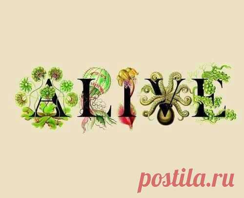 Susan Andersen - Фото Хроники