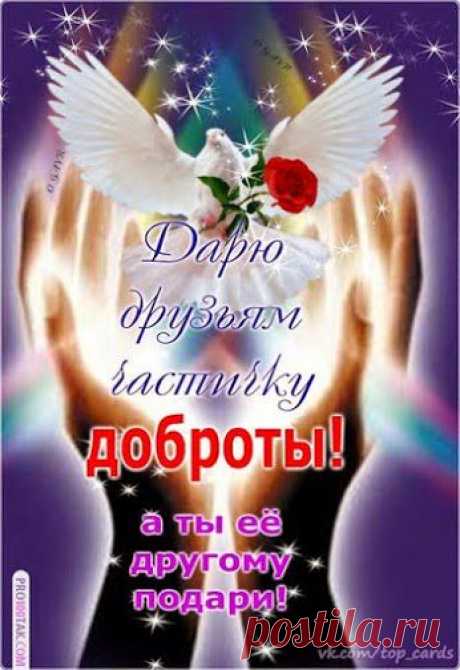 Дневник Konareechka