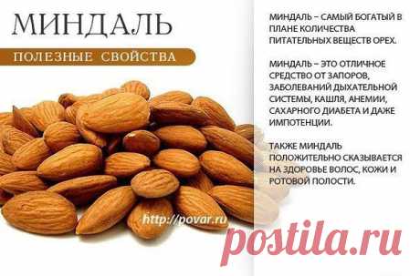Академия здоровой жизни - миндаль