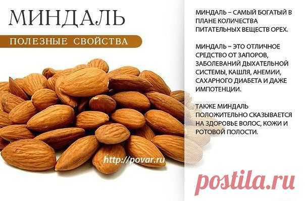 Академия здоровой жизни - миндаль