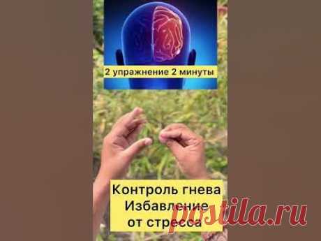 Тренируем мозг и повышаем его силу 🧠 #упражнения