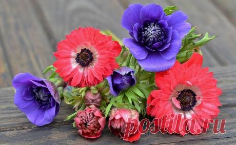 Моё настроение&gt;Весеннее...