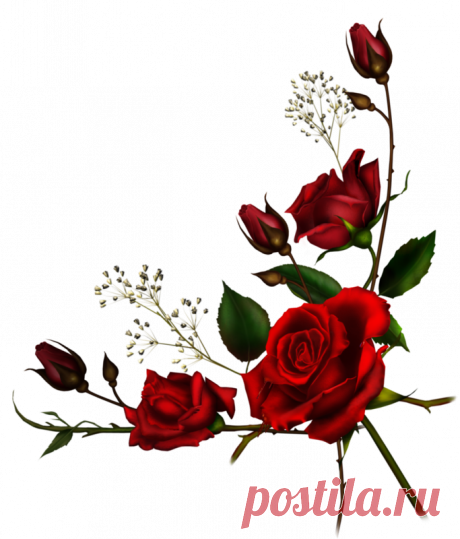 Цветы - Клипарты PNG - Клипарты у Анны.