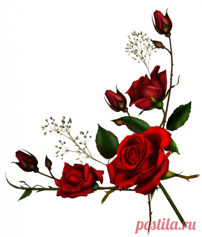 Цветы - Клипарты PNG - Клипарты у Анны.