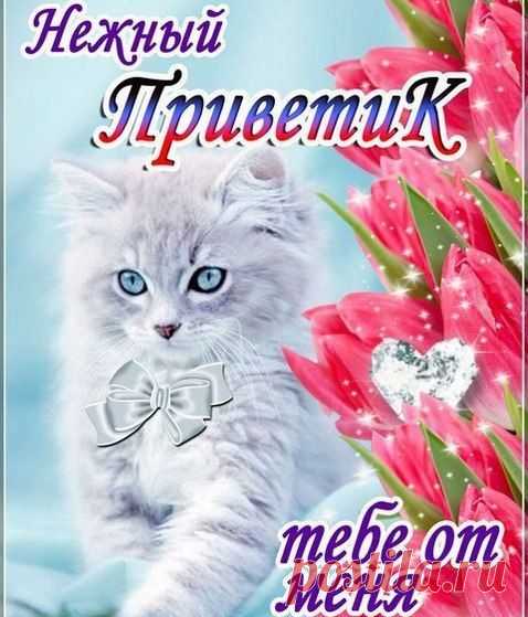 ╭დ╯СВЕТ ДУШИ╭დ╯