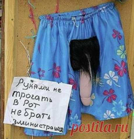 30 шедевральных объявлений с рынка — Тут круто