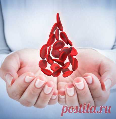 Рецепты очищения и оздоровления крови от врача-натуропата