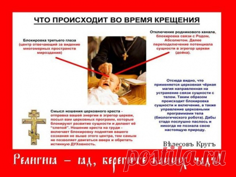 Сарата Степанова, Апнеры | Фото, друзья, лайки