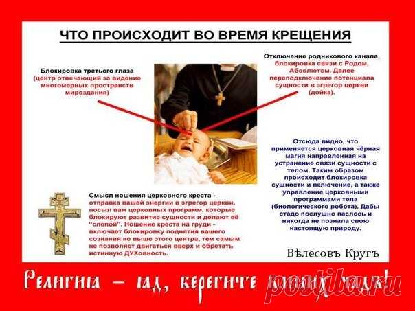 Сарата Степанова, Апнеры | Фото, друзья, лайки