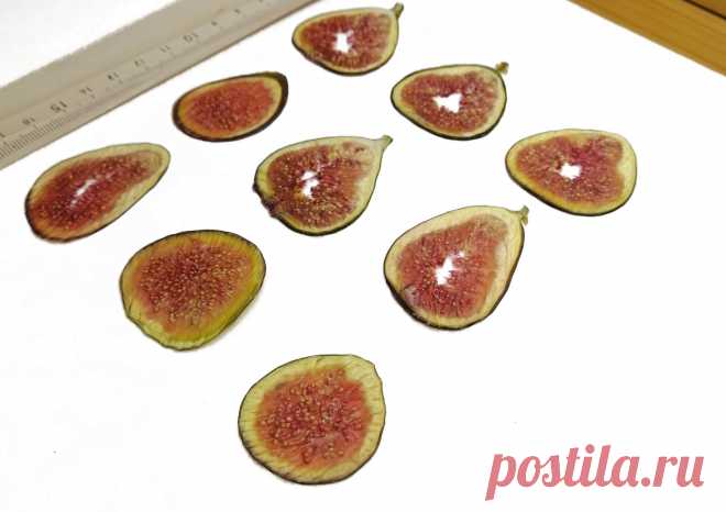 Сушеные плоские ломтики инжира для заливки смолой купить