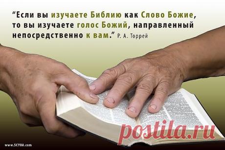 Благоразумие делает человека медленным на гнев, и слава для него, быть снисходительным к проступкам(пр.СОЛОМОНОВЫ 19:11)