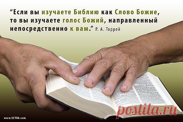 Благоразумие делает человека медленным на гнев, и слава для него, быть снисходительным к проступкам(пр.СОЛОМОНОВЫ 19:11)