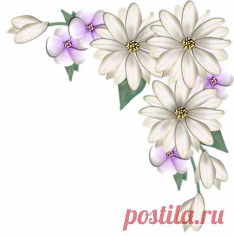 Esquinas florales - Diseño de web