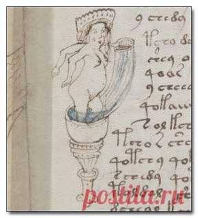 Открытия, которые не смогла объяснить наука. Манускрипт Войнича | НАУКА И ЖИЗНЬ