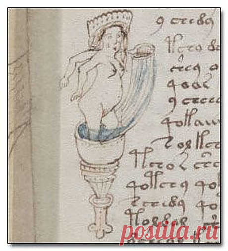 Открытия, которые не смогла объяснить наука. Манускрипт Войнича | НАУКА И ЖИЗНЬ