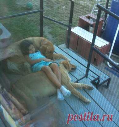 Спокойной ночи, малыши!