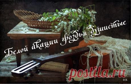 История романса «"Белой акации гроздья душистые"».