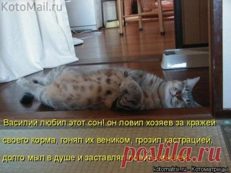 Любимый сон