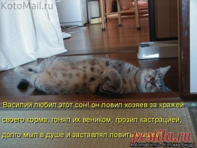 Любимый сон