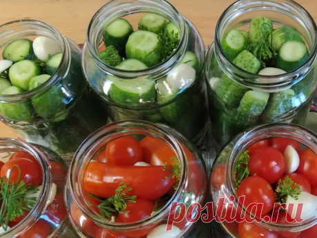 Стерилизую банки быстро и просто холодным способом, делюсь опытом | Вязание и Рукоделие | Яндекс Дзен