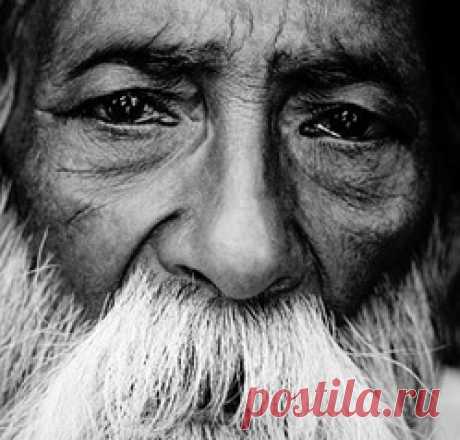 Никогда!...: Группа Беседка «Дачная жизнь»
