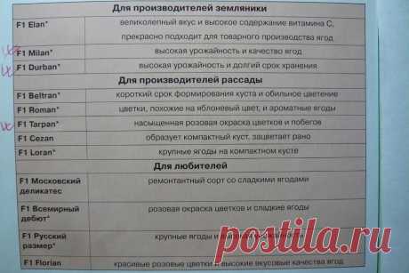 Урожайная грядка
Анатолий Быкадоров