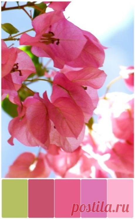 (886) Pinterest: инструмент для поиска и хранения интересных идей