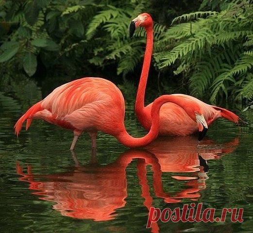 Не земная красота...