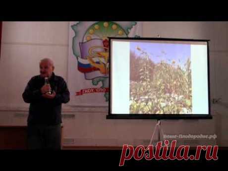 Семинар Б.А.Бублика «Огородная пермакультура»