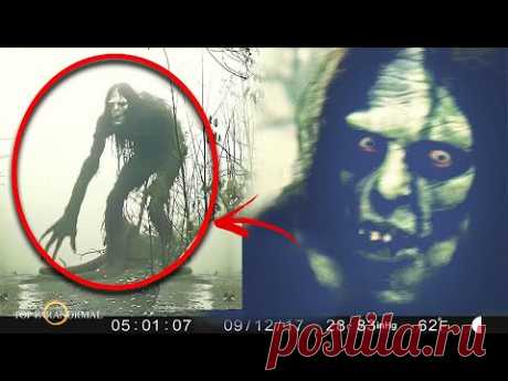 13 видео паранормальных существ и демонов / Часть 5 / НАСТОЯЩИЙ ТЕРРОР / Призраки и существа 2024
